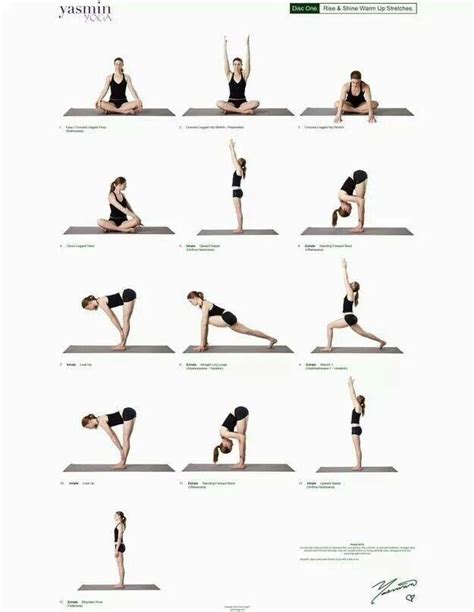23 Reasons Practicing Yoga Is Better Than Sex Warm Up Yoga Vinyasa Flow Yoga Begginers Yoga