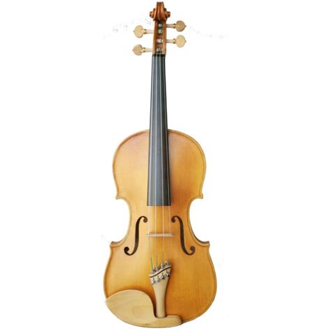 Carlos Marshello Hand Made Designer Violin Cdv 700 Music Stores