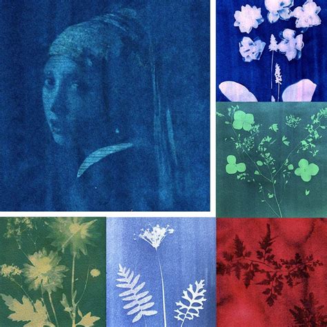 Best Cyanotype Paper For Prints