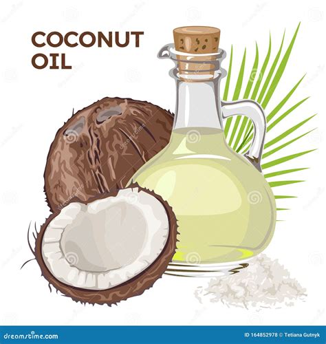 Vector Coconut With Coconut Oil In Glass Bottle Whole And Pieces Stock