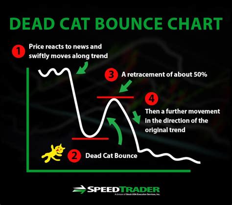 What Is A Dead Cat Bounce Definition Explanation And Trading Guide