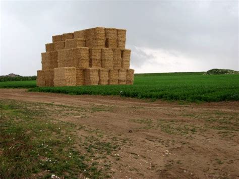 Big Stack Of Square Straw Bales Near © Evelyn Simak Geograph