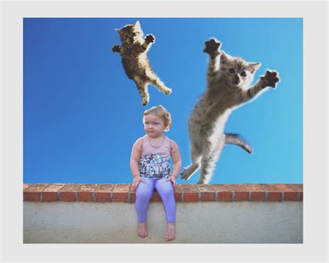 Frankie Foto Darla And Some Flying Cats