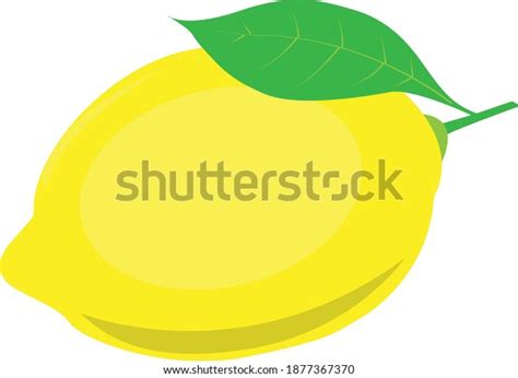 Vector Fresh Lemon Fruit Vector Illustration Stock Vector Royalty Free