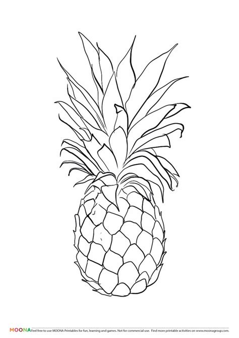 These printable coloring pages offer the perfect opportunity to relax and let loose with markers, colored pencils, and gel pens as you let your creativity shine! Free Printable Coloring Pages Moona "Fruits and Berries"