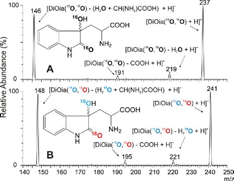 Figure From Mechanism Of Dioxindolylalanine Formation By Singlet Molecular Oxygen Mediated