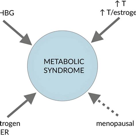 relationships between sex hormones and metabolic syndrome in women er download scientific