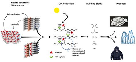 CO2 Activation | Organic Surface Chemistry
