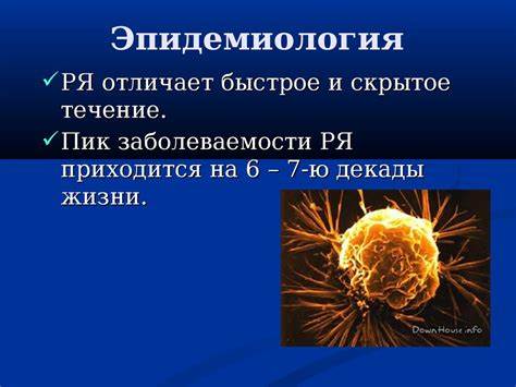 Рак яичников диета Рак яичников - презентация онлайн Рак яичников - презентация онлайн Рак яичников диета
