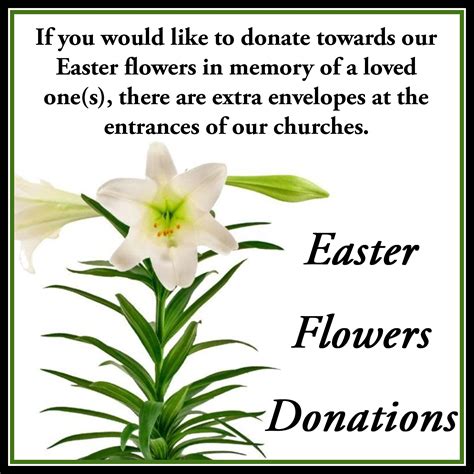 Easter Flowers Donations Catholic Community Of St Stephens St