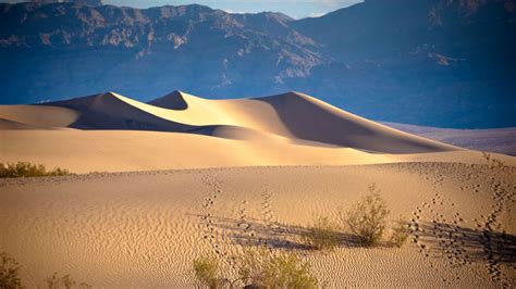 Wallpaper Death Valley 5k 4k Wallpaper Usa Desert