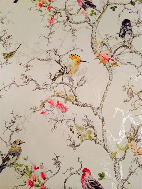 Bandq Wallpaper Birds I Love This One New House Ideas