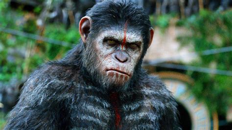 Review ‘dawn Of The Planet Of The Apes Is A 45 Minute Film Padded