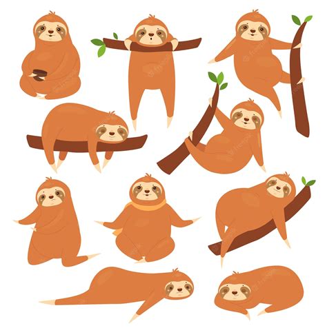 Premium Vector Sloths Illustration Set