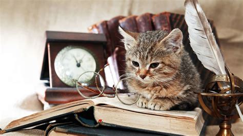 Famous Books About Cats Fecolnice