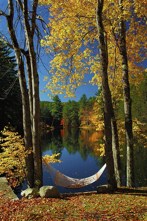 Bliss New England Fall Landscape Hammock Photograph By