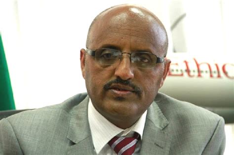 Ethiopian Airlines El Piloto Aviador Tuvo “problemas De Control De Vuelo”