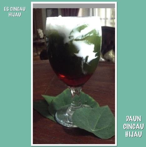 Cincau hijau berasal dari tanaman mesona procumbens. Resep Es Cincau Hijau