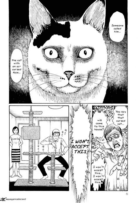 Itos Creepy Cat Cat Diary Japanese Horror Junji Ito