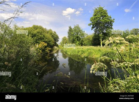View Over The River Itchen In Winnall Moors Nature Reserve Winchester