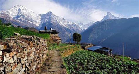 Trekking In Nepal Nepal Trekking Nepal Trekking Packages Alpine Kailash Trek