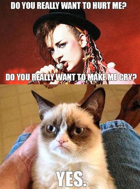 Picz I Like Grumpy Cat Meme Boy George