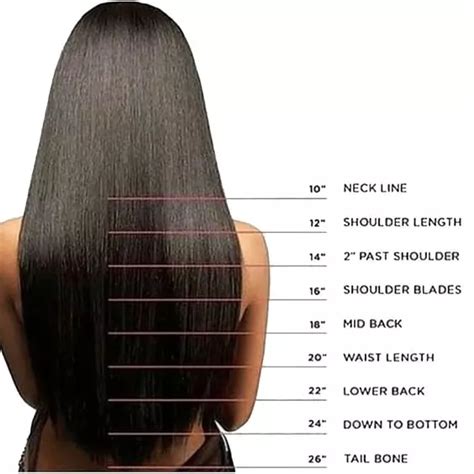 Hair Length Chart An Accurate Guide To Your Desired Hair Length Short