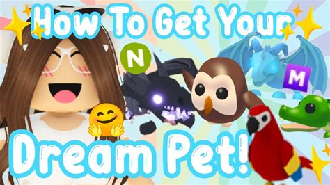 How To Get Your Dream Pet Fast In Adopt Me Roblox Astrovv Youtube