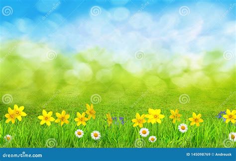 A Spring Flowers And Green Grass Background Stock Illustration Illustration Of Tree Natural