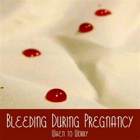 The Ivf Specialists Blog For Ivf Patients Bleeding During Pregnancy
