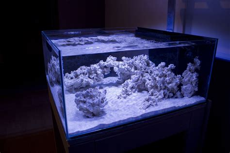 Thedoogans Shallow Rimless Tank Reef Central Online Community
