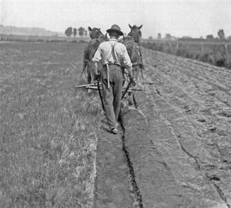 Tractor Plowing 101 Farm Collector Dedicated To The Preservation Of