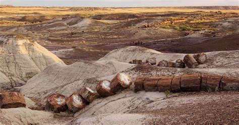 Petrified Forest National Park 10 Tips For Your Visit