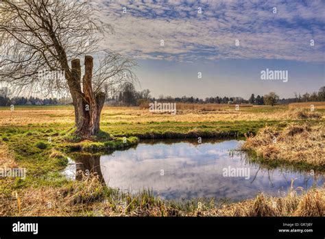 Landscape Stock Photo Alamy