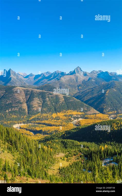 Peaks Of Glacier National Park Rising Above Autumn Larch Of The Middle