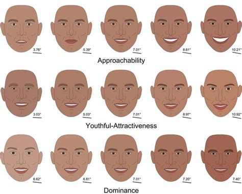 Graphic Shows What Facial Features People Find Attractive Business