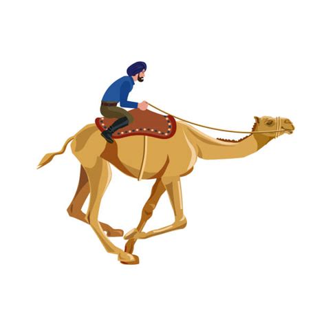 Camel Racing Illustrations Royalty Free Vector Graphics And Clip Art