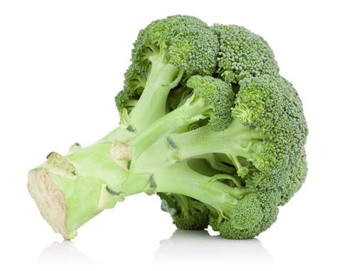Green Broccoli Cabbage Isolated Stock Photo Image Of Nutrition