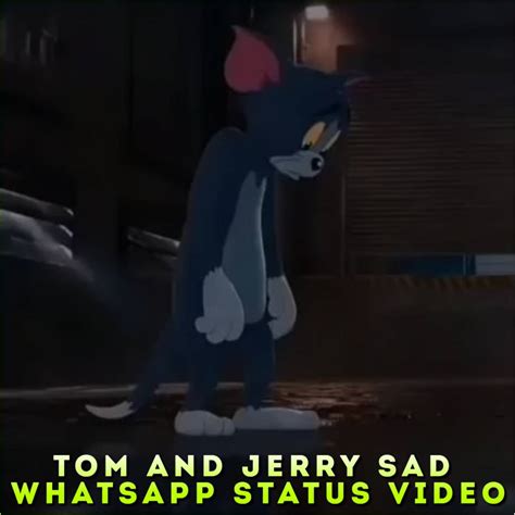 Tom And Jerry Sad Whatsapp Status Video Tom Sad Status Video