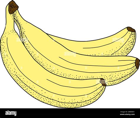 Three Bananas Vector Illustration Stock Vector Image And Art Alamy