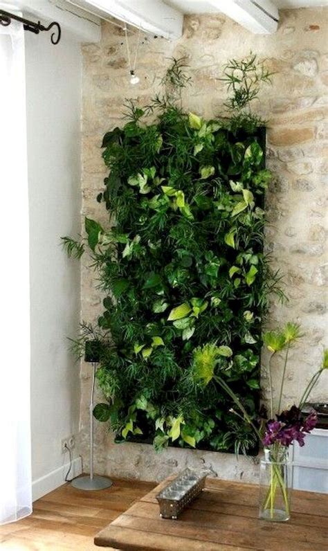 47 Awesome Indoor Plant Decoration Ideas To Make Natural Comfort In