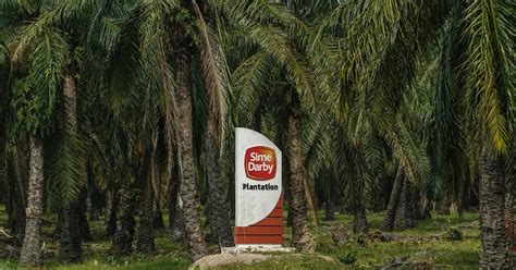 Moreover, geographically chintek operate in. Sime Darby Plantation's shares ease 2.13pc on US ban ...