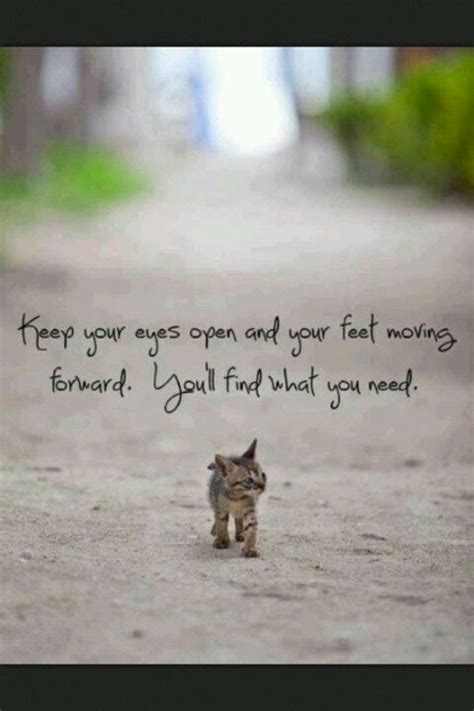 Keep Your Eyes Open And Your Feet Moving Forward Youll