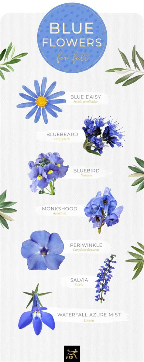30 Types Of Blue Flowers FTD Com Blue Flower Names Types Of Blue