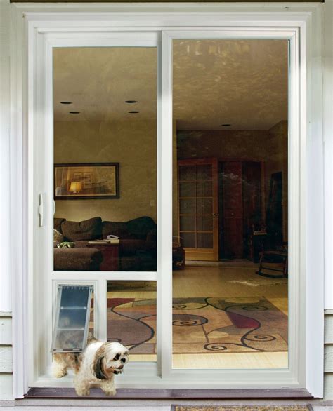 Top 10 Best Doggy Doors In Glass A Comprehensive Buying Guide And