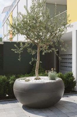 aladin extra large commericial planter outdoor pots  trees novacom