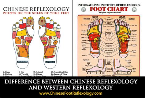 5 Key Differences Between Chinese Reflexology Vs Western Reflexology