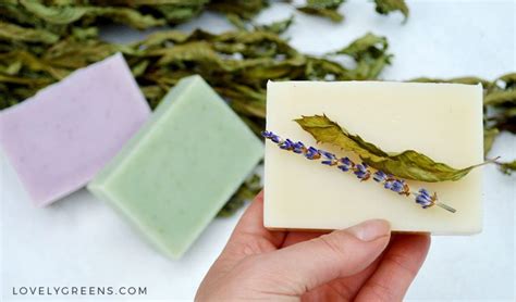 How To Make Natural Soap With Lovely Greens Soap Making Instructions