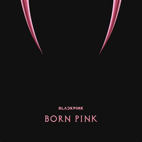 Blackpink 2nd Album Born Pink Box Set Ver In 2022 Album Covers Blackpink Album