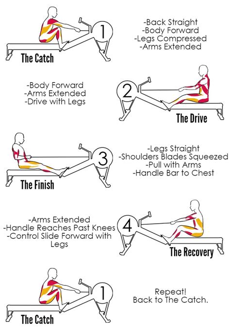 How To Improve Your Rowing Technique In 5 Simple Steps